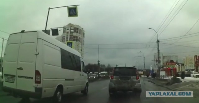 Торопыге посигналили и он возбудился