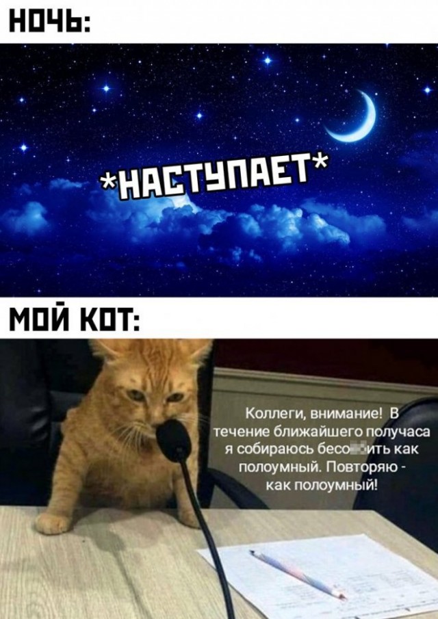 50 оттенков серого. Vol.4  Или самосвал баянов