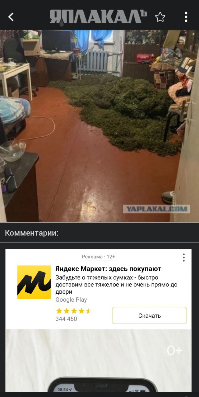 Забавный случай в Белгородской области