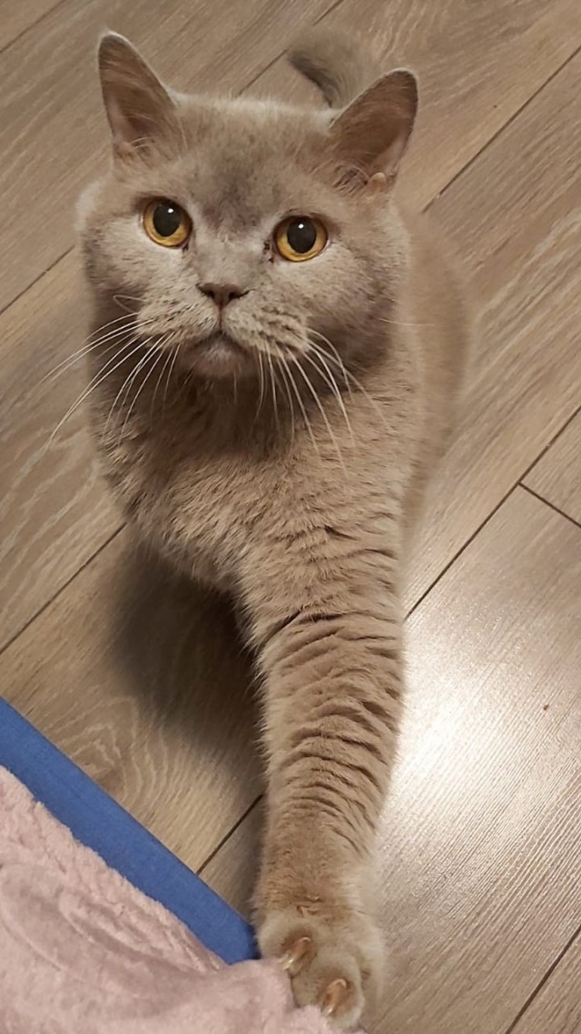 Окей. О лете