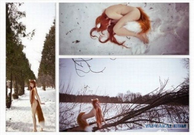 Откуда Хвост Растет!