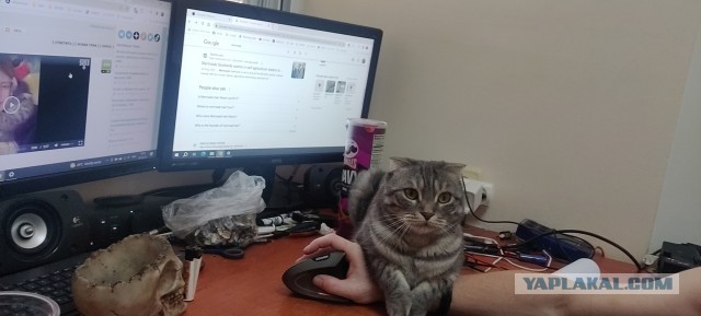 Любимый ты мой человечек