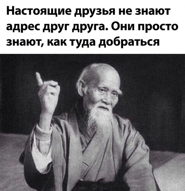 Весёлый полтишок 08.09.23