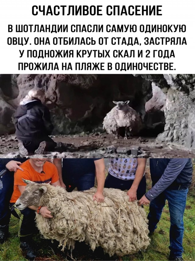 Разная всячина из жизни