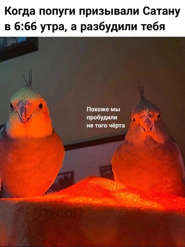 Завалялось тут случайно немного забавных картинок