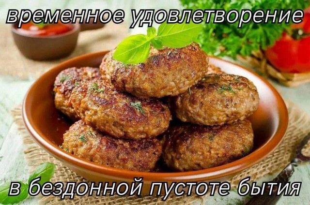 Весёлый полтишок 27.08.24