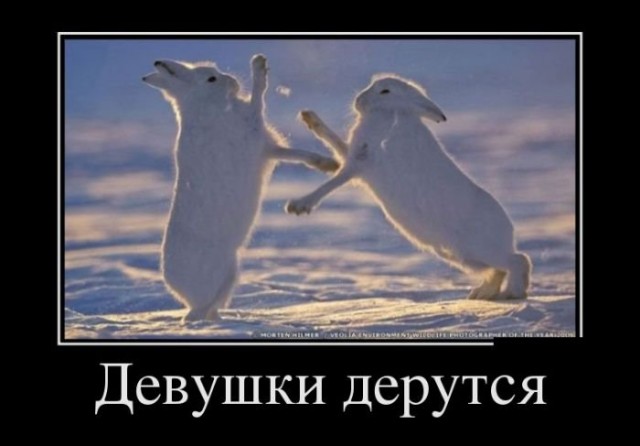 Вот это действительно годный монтаж!