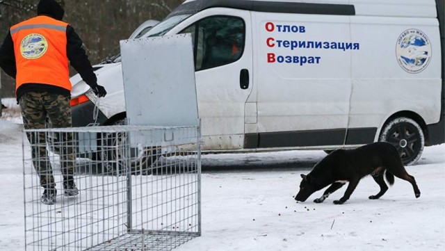 В России предложили запретить квадроберов