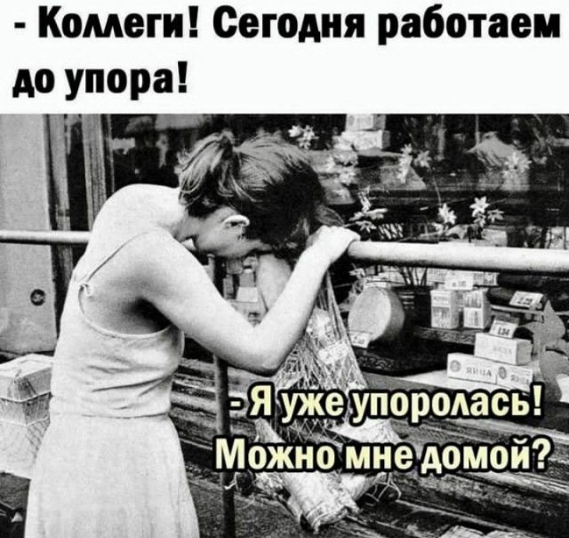 Прикольные и просто красивые картинки 26.11.2024