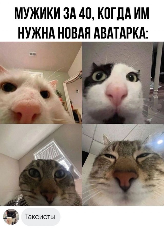 Веселые картинки после длинных выходных (09.01)