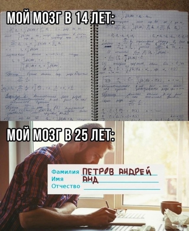 Веселые картинки в пятницу (11.04)