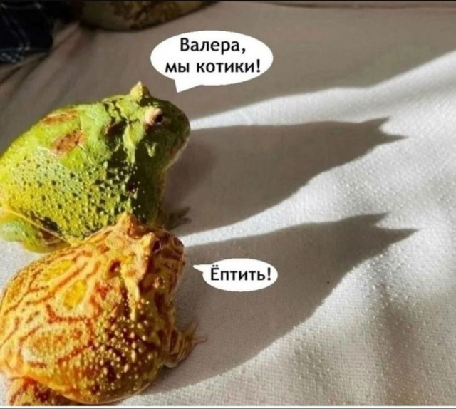 Завалялось тут случайно немного забавных картинок