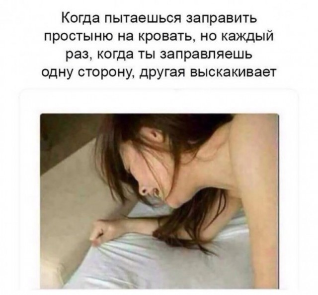 Праздничная дичь. Ударная доза