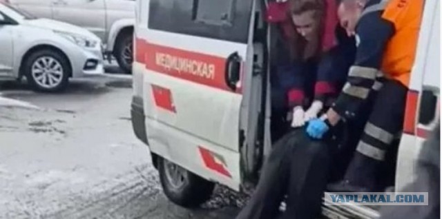 Российским водителям грозит арест за ДТП с голубями