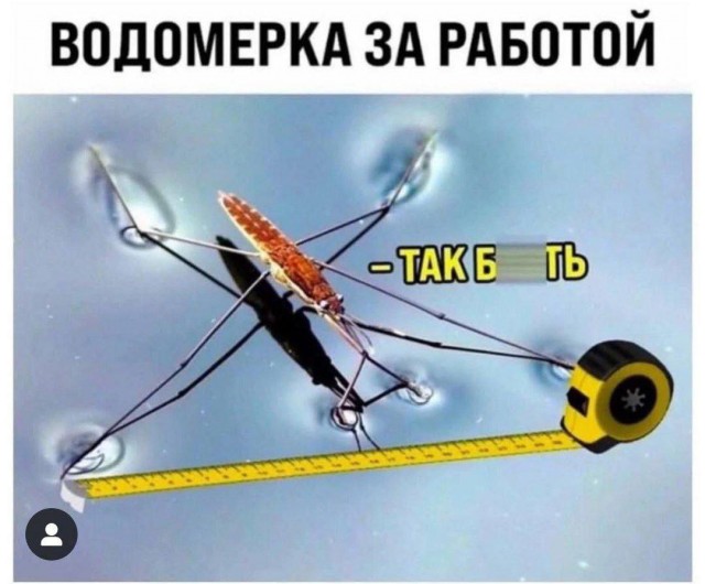 Пятница 12