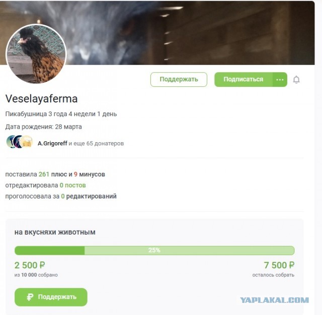 Весёлая ферма, где ты?