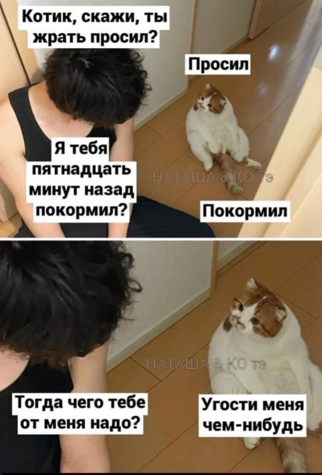 Среды картинки