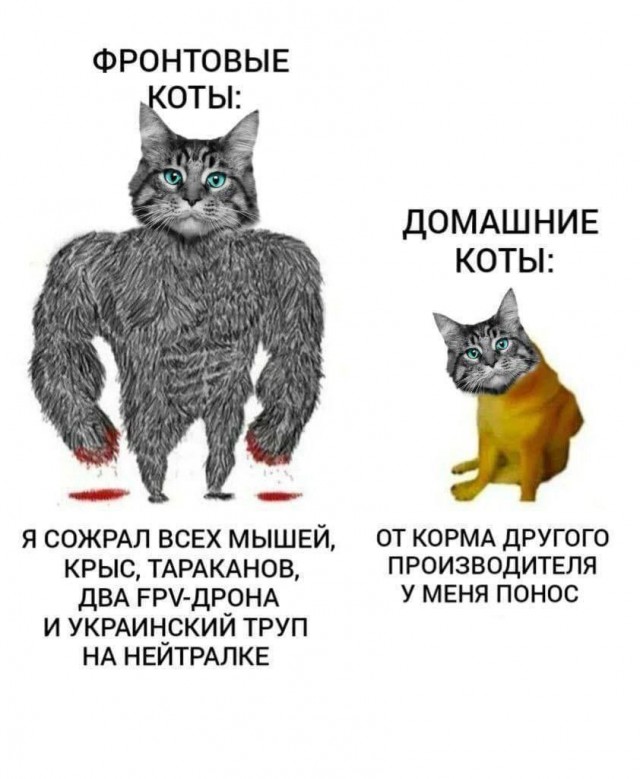 Применить Орешник за Воронеж слабо?