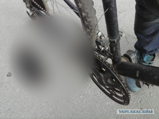 Как мой друг на велосипеде до дома ехал