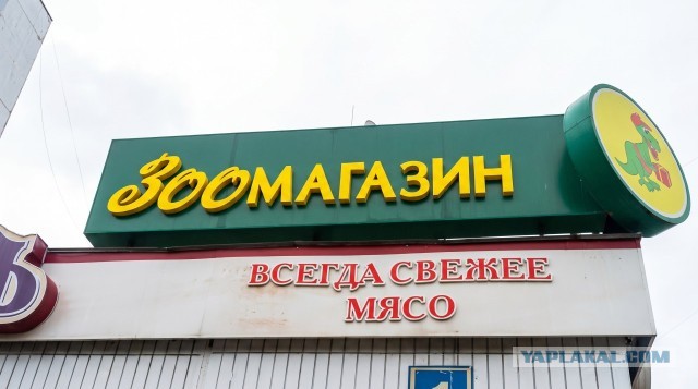 Коммерческая еда в 1990-х