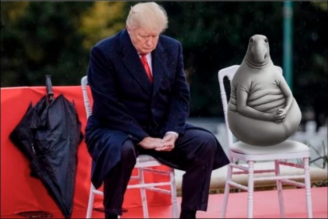 Опять кинули...