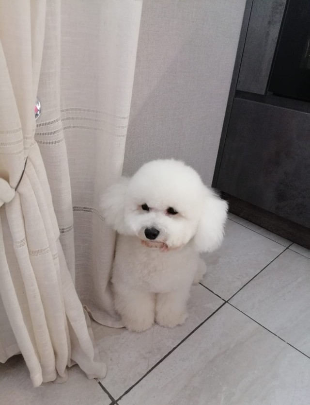 Реакция кошки бесценна