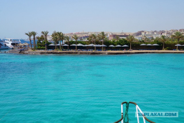 Поездка в Египет, отель "Sindbad Aqua Hotel 4*".