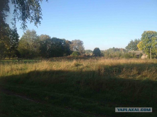 Как менялся старый пол.