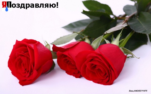 С международным вас женским днём.....