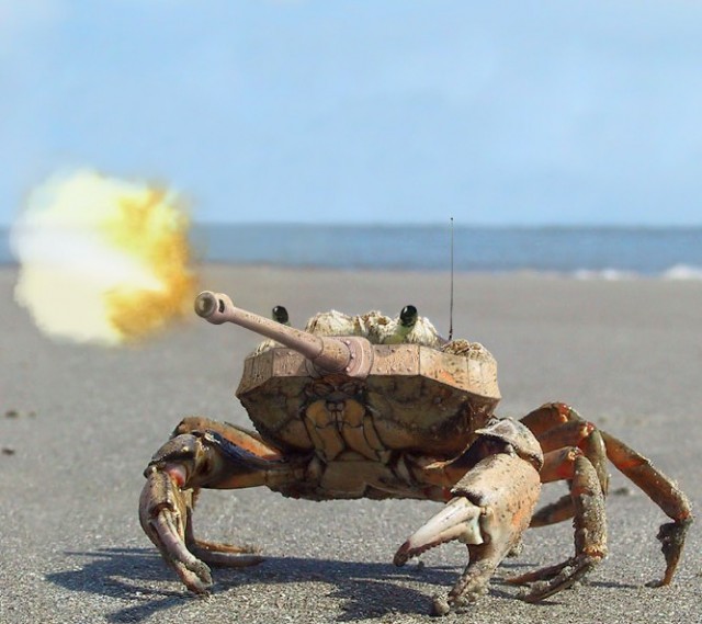 Wargaming 22