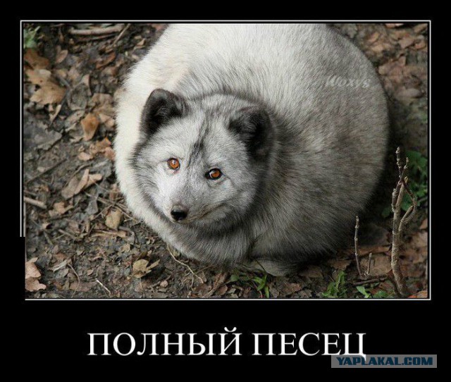 Врачи игнорировали окровавленную женщину на пороге больницы