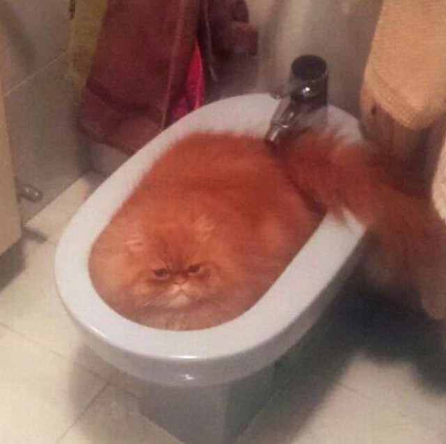 Как жилось в Древнем Египте (легкой наркомании псто)