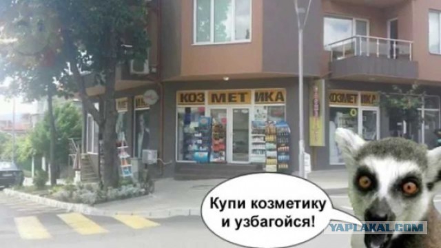 Порция картинок из сети