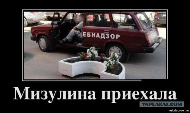 Мизулина назвала «опасной тенденцией» появление антикоррупционных уроков