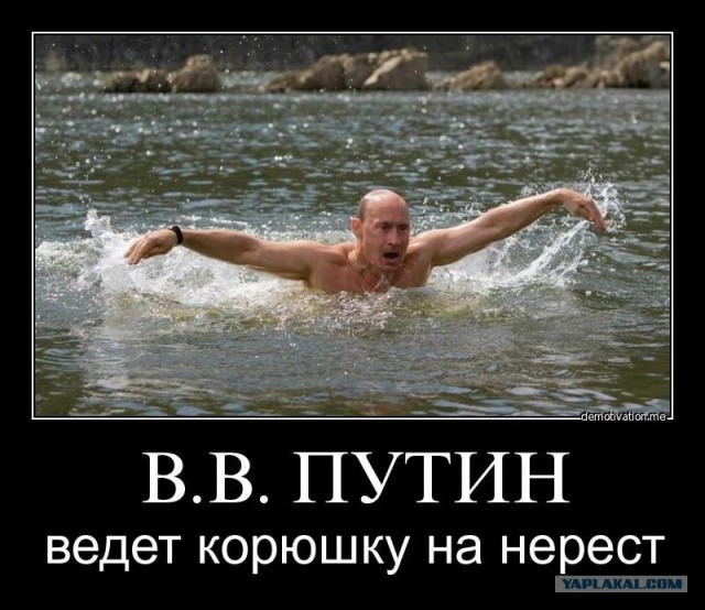 Рыбалка для Путина