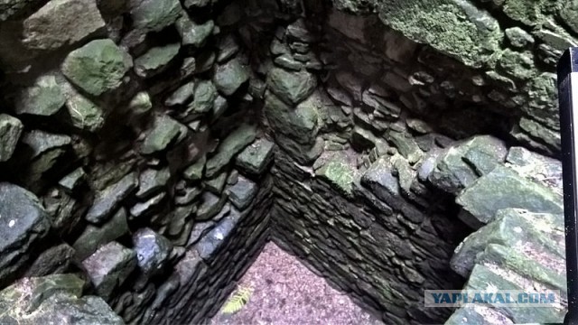 Кровавая барыня