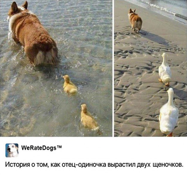 Картинки для настроения