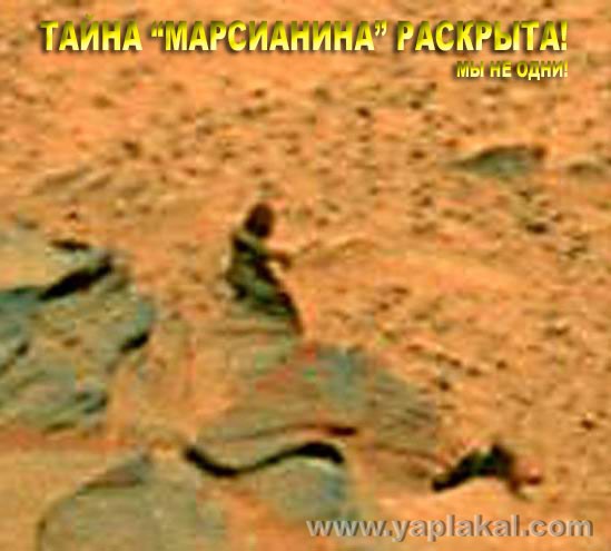 Тема Марса раскрыта