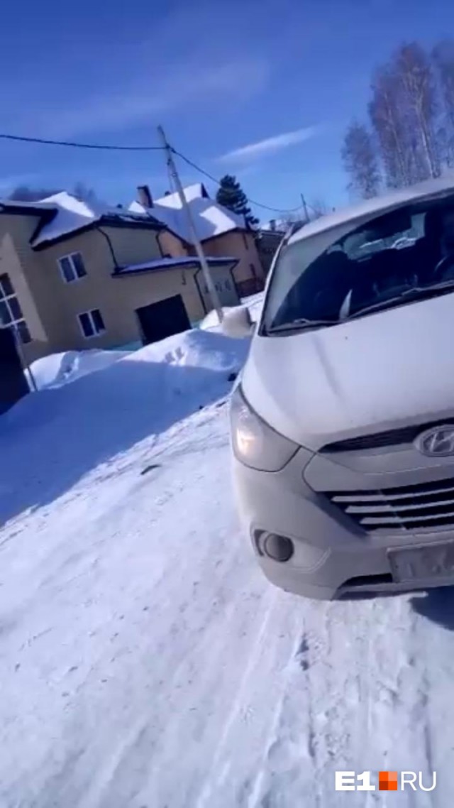 Наехала автомобилем из за собачьего говна