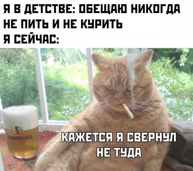 Немного картинок для настроения