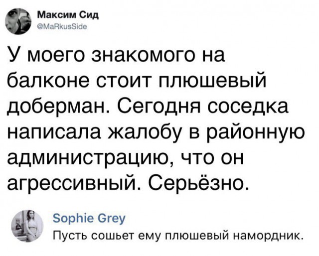 Прикольные комментарии и высказывания из Сети