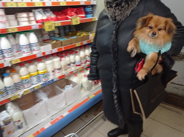 Жена не подходит моей новой квартире