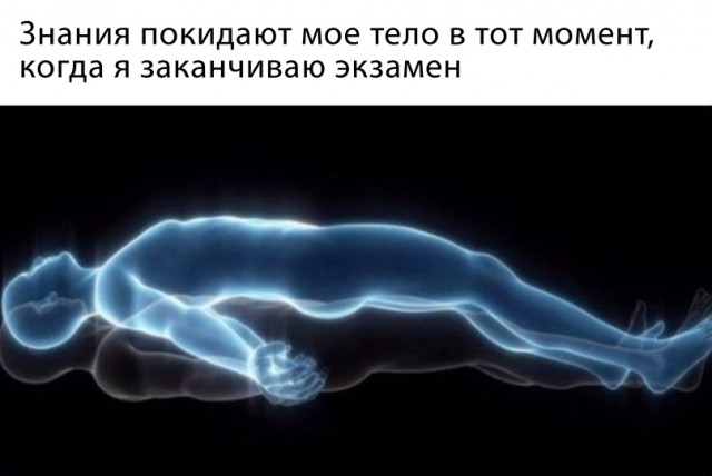 Весёлый полтишок 24.03