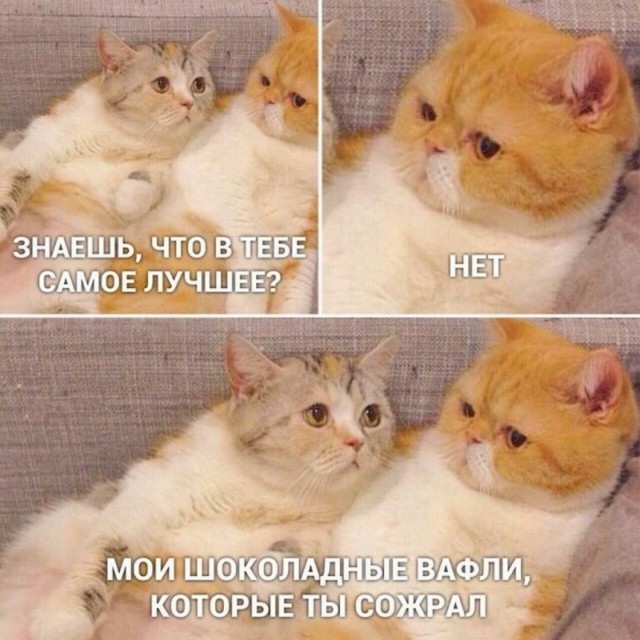 Картинки и мемы для настроения
