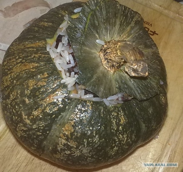 Тыква фаршированная (по Дженибековски)