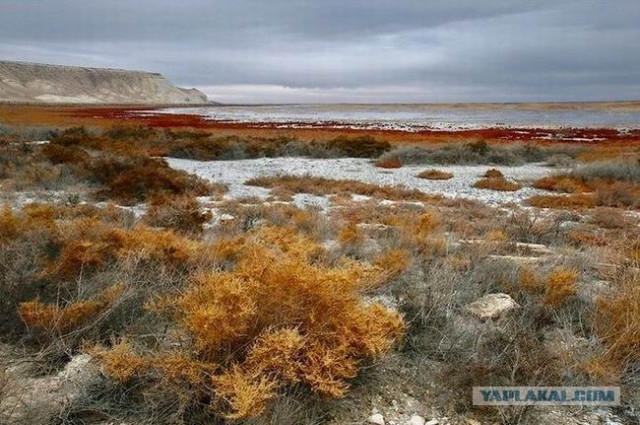 Мертвое Аральское море