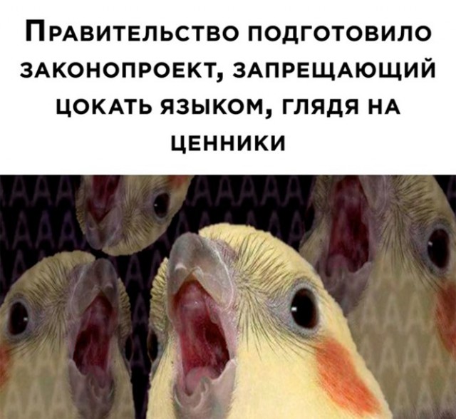 Баянисто-небаянистый юмор 23.12.21