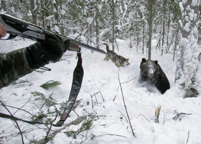 5 января в Зиминском районе Иркутской области пятеро охотников готовились убивать животных