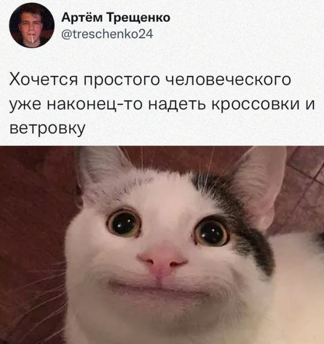 Картинки и мемы для настроения - 22