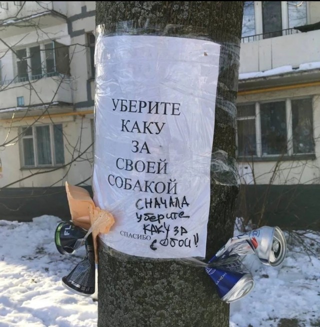 Ежегодние отмазки собаководов